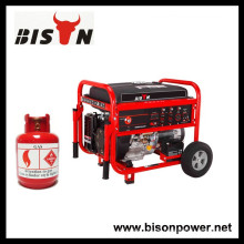 BISON (CHINA) Generator Lieferant Alle Arten von Gas Generator, LPG Generator, Biogas Generator